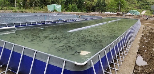 透徹講解水產養殖“溶解氧”，通俗易懂。