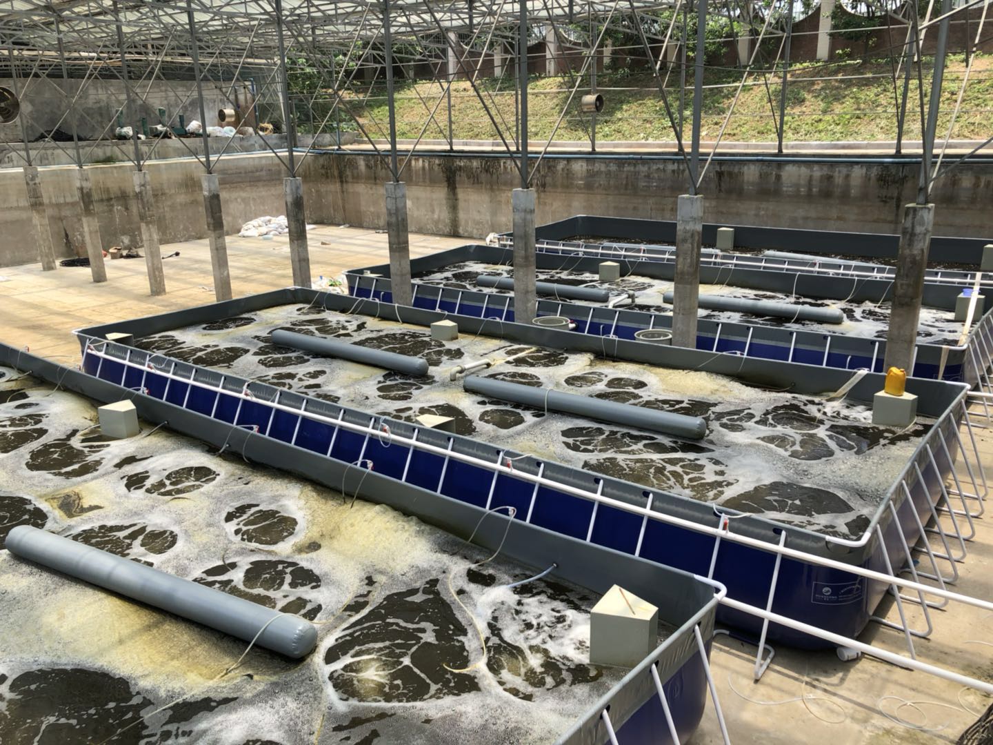 生物絮團養蝦基地