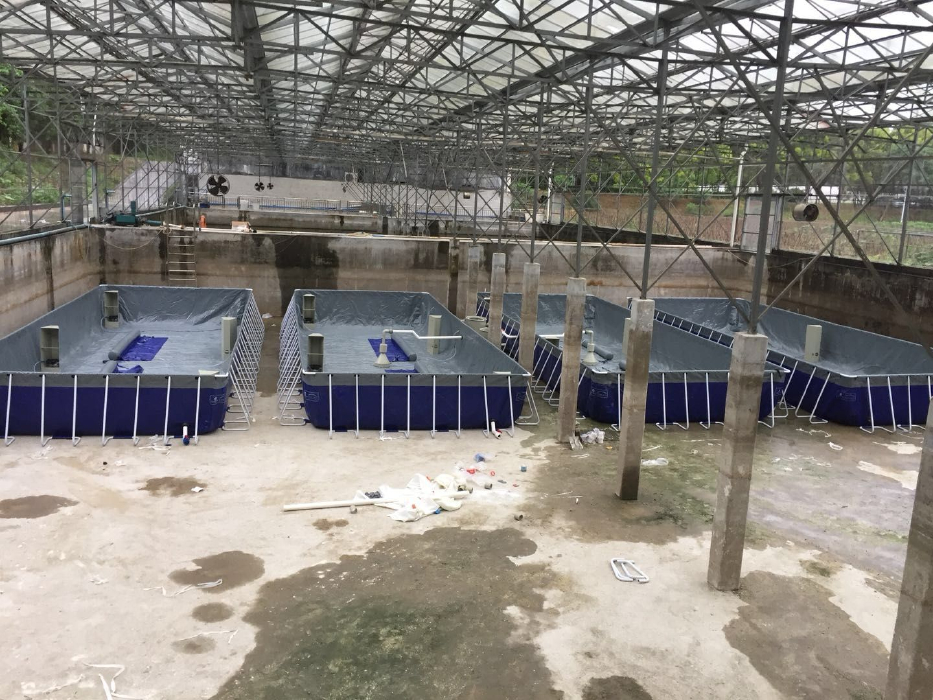生物絮團養殖對蝦