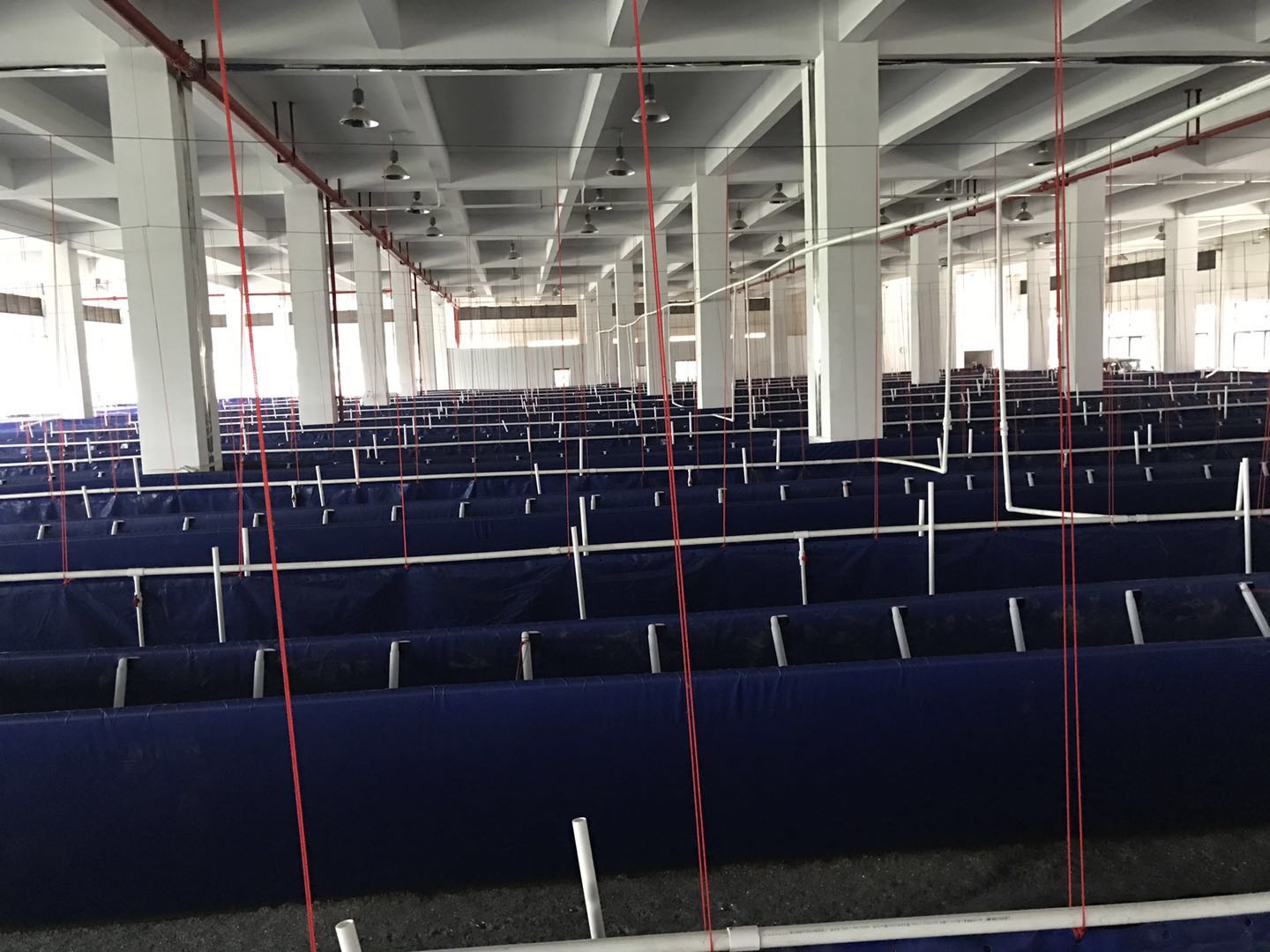 工廠化對蝦養殖設備
