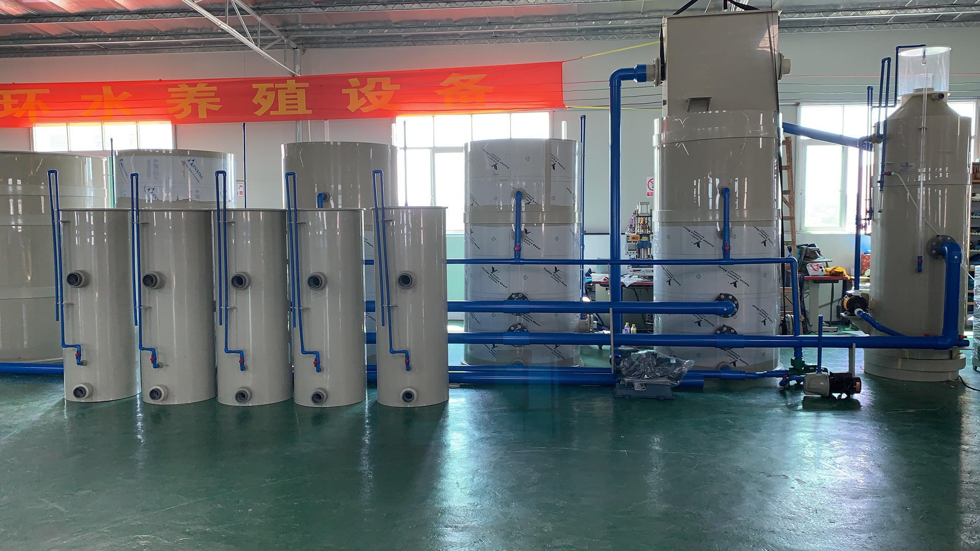 香港循環水養殖項目搭建中