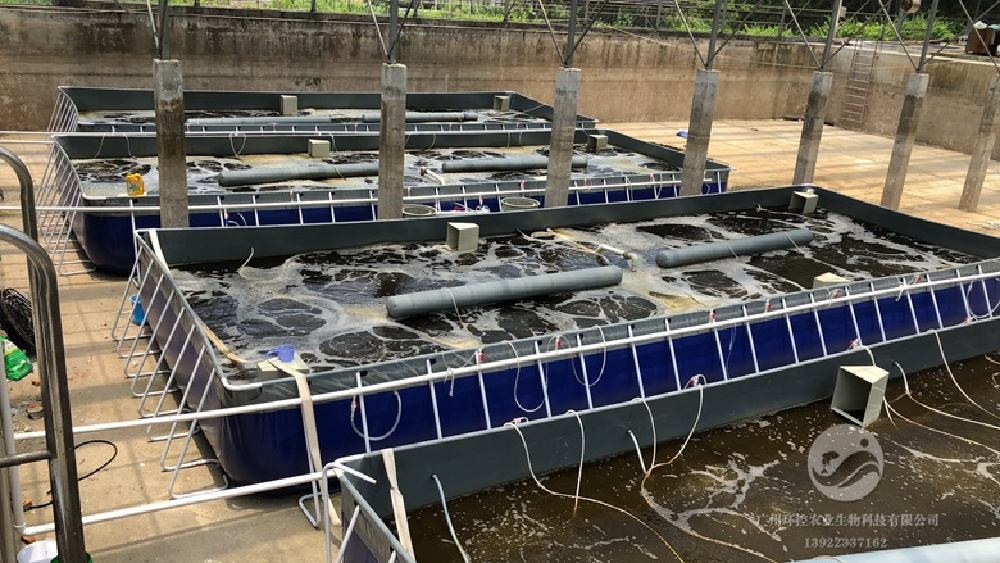 造成魚(yú)浮頭的因素有哪些