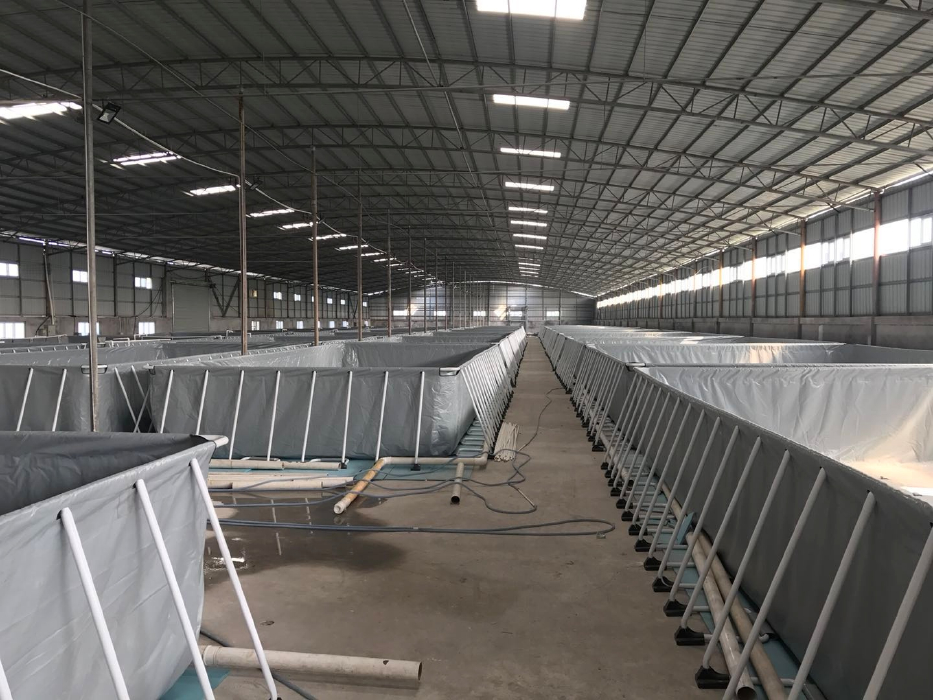 循環水養殖設備助魚長得快