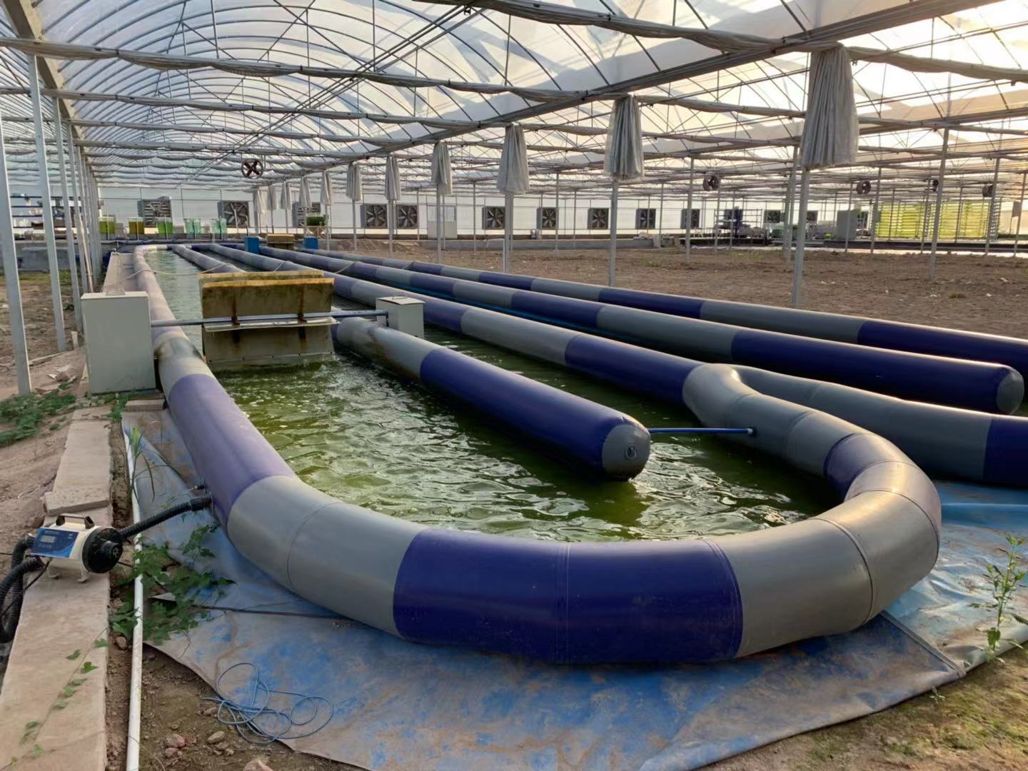 充氣移動式養殖水槽藻類培育養殖