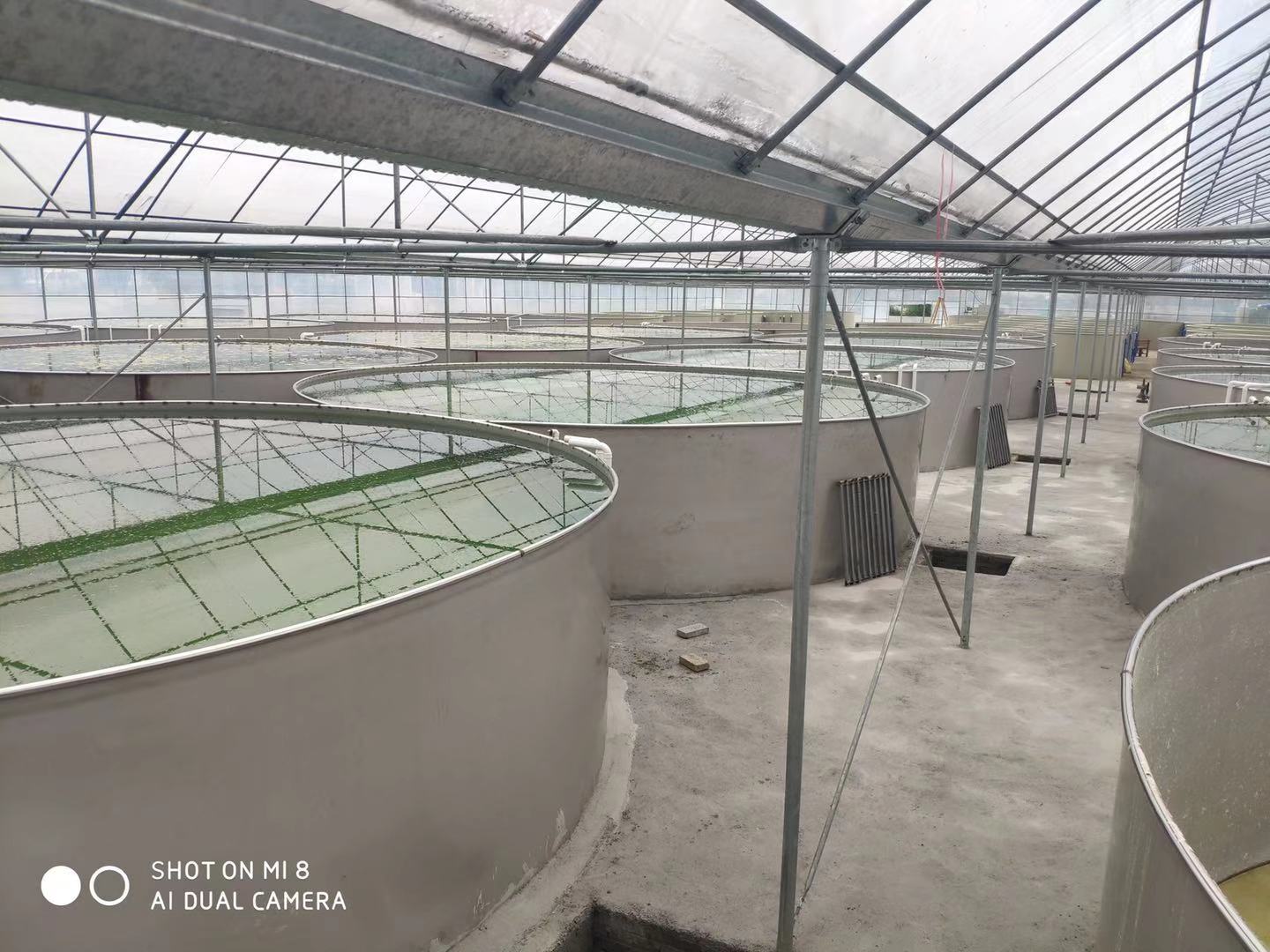 室內循環水養殖項目簡單介紹