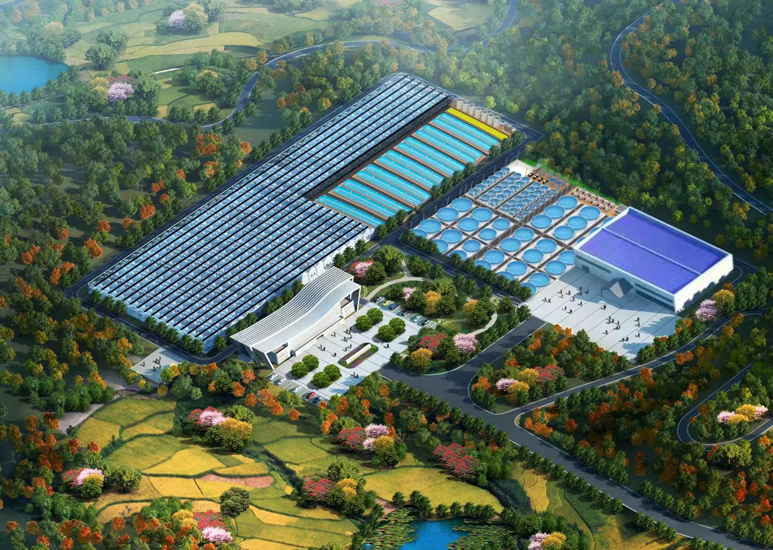 工廠化循環水養殖項目規劃圖