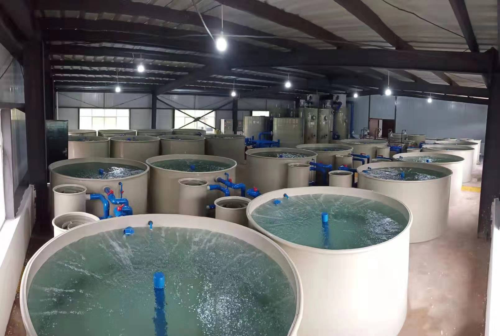 循環水養殖設備調試二