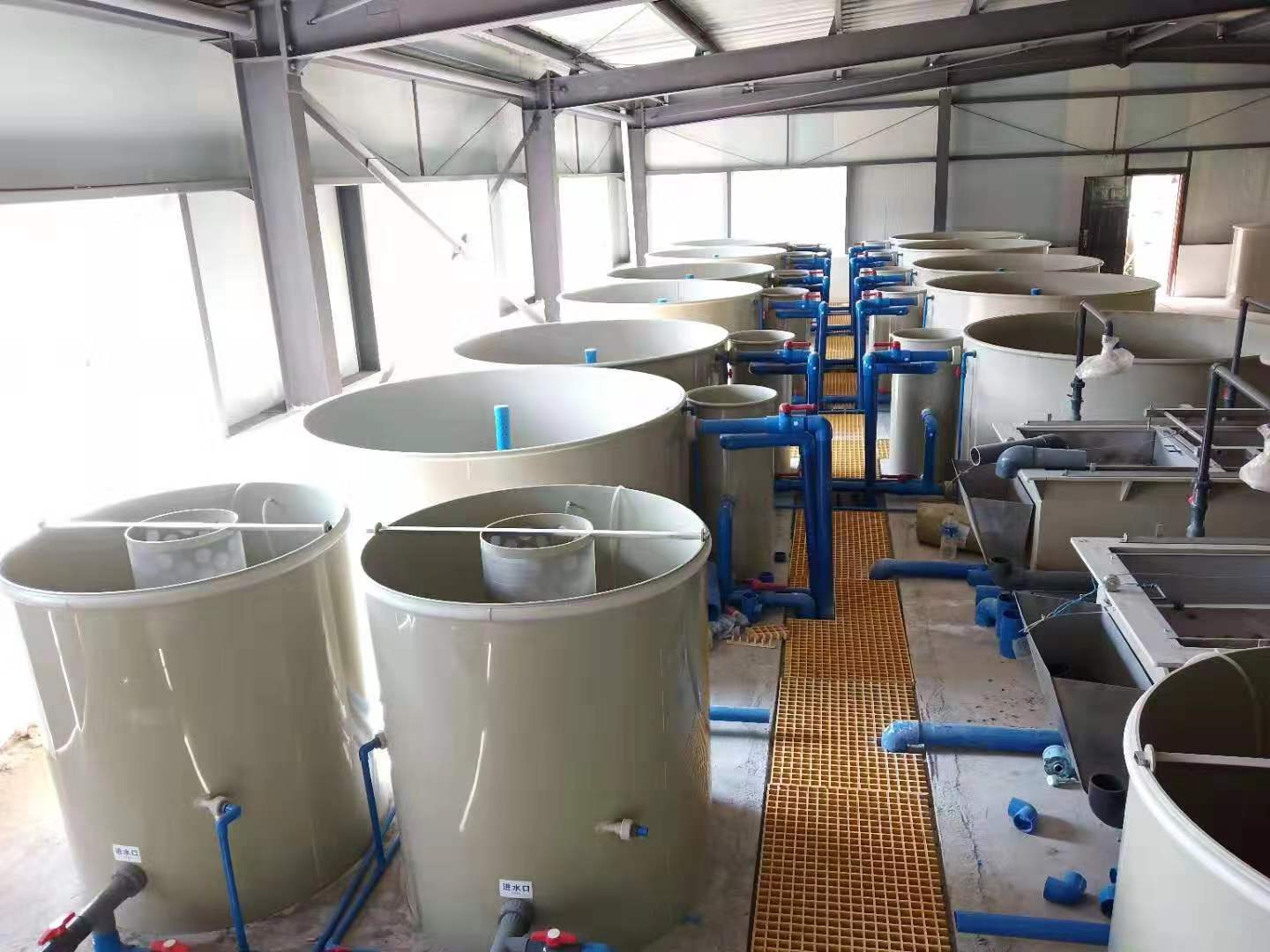 循環水養殖設備安裝六