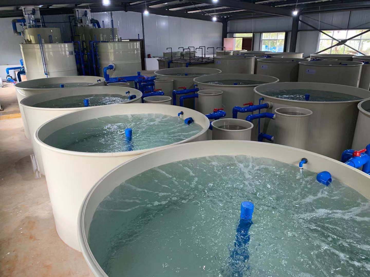 調試循環水養殖設備中